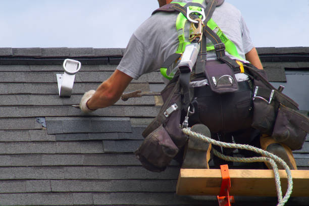 Best Local Roofing Companies  in Warrensburg, IL