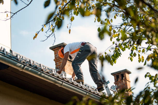 Best Roof Inspection Near Me  in Warrensburg, IL