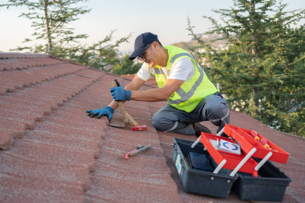 Best Roof Leak Repair  in Warrensburg, IL