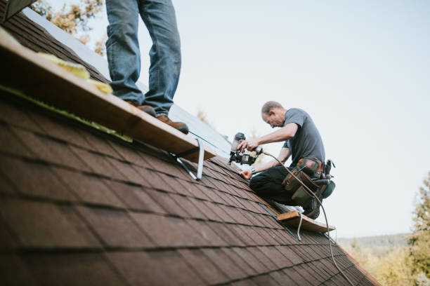 Best Roof Gutter Cleaning  in Warrensburg, IL